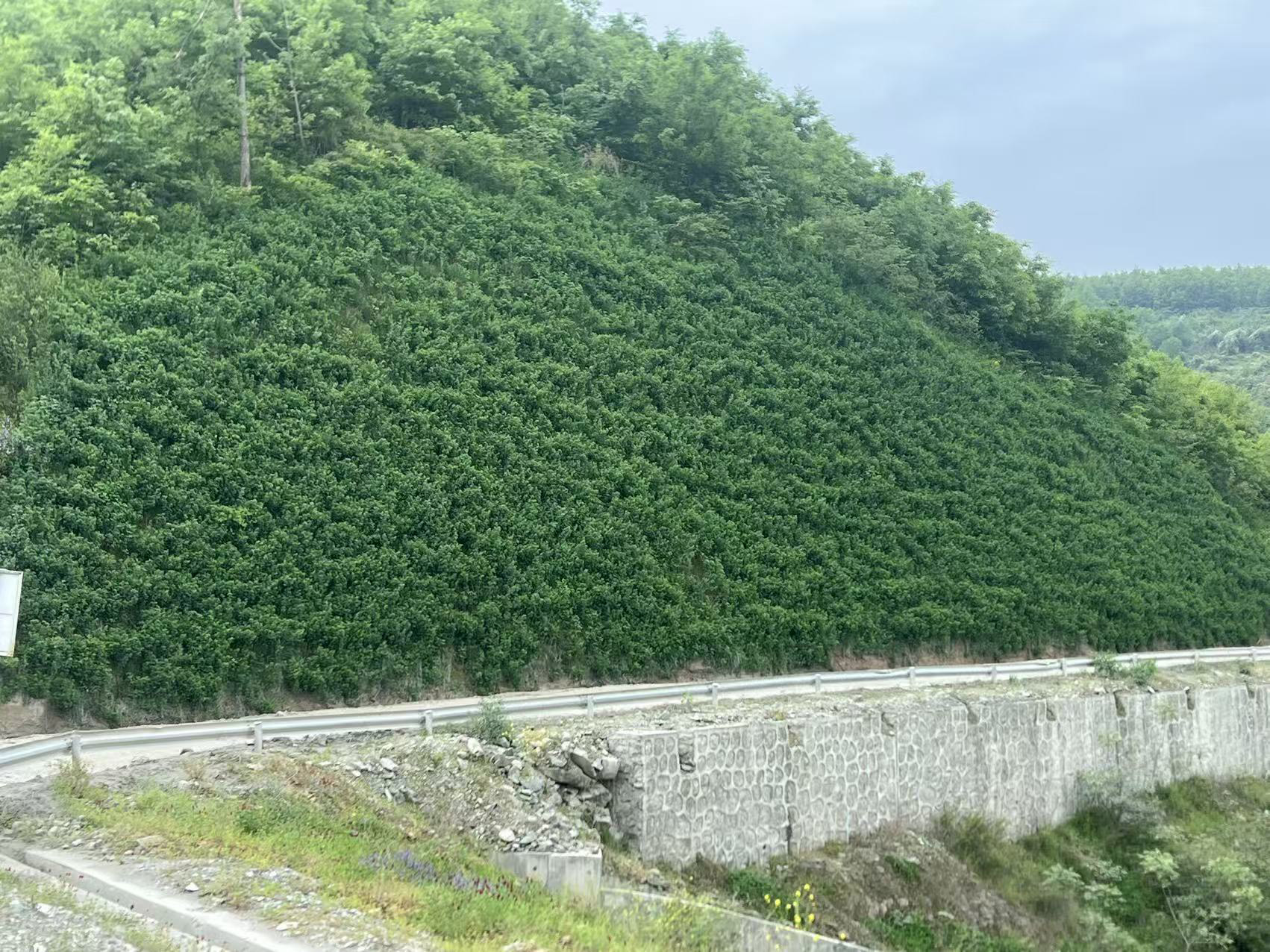 2026-04-15 18170711.jpg