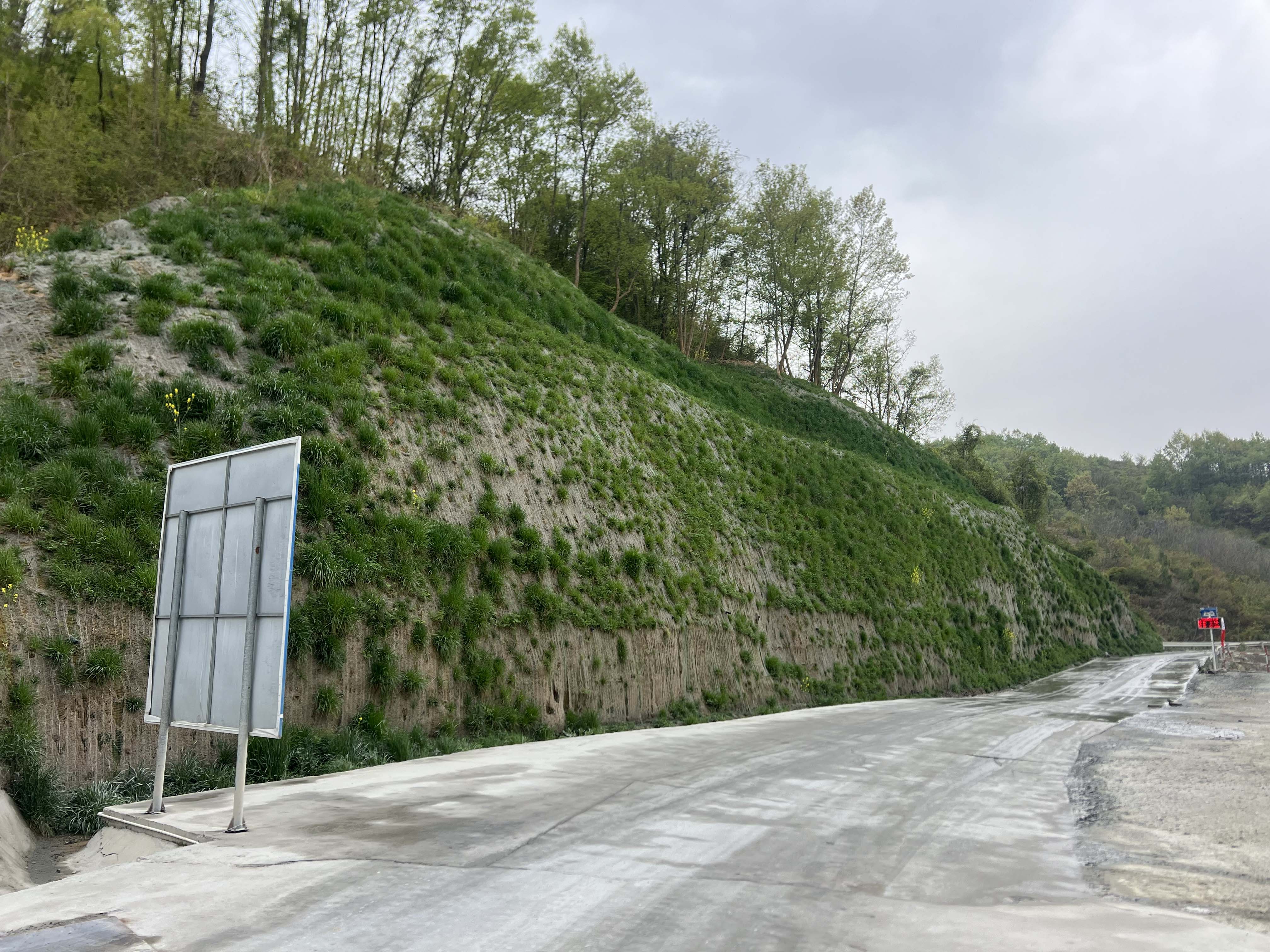 2025-04-15 20293811.jpg