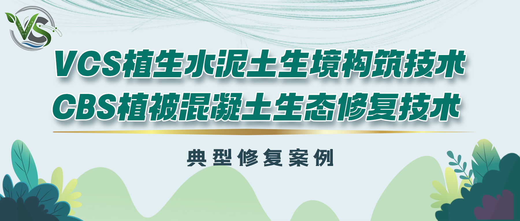 修复案例-大.jpg